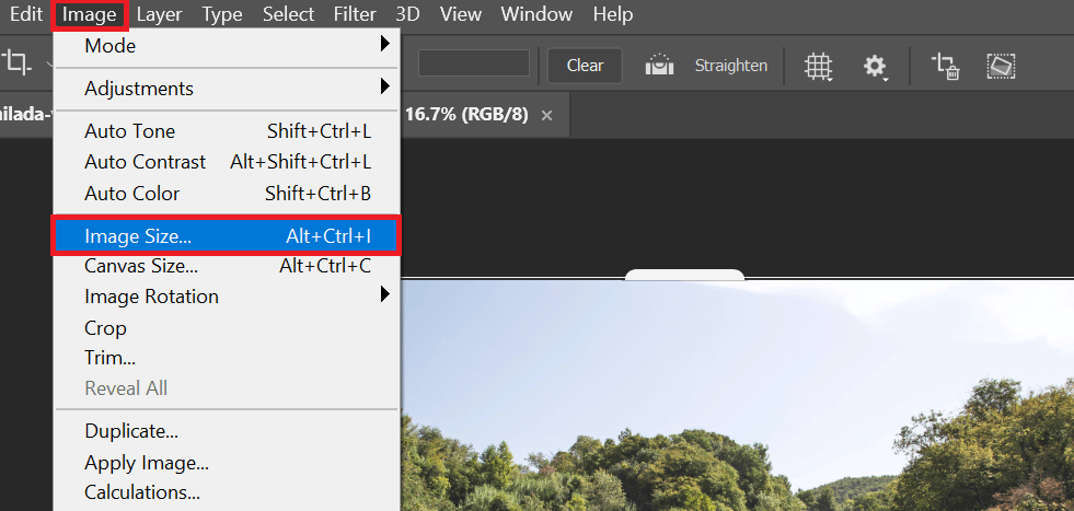 Image Size prikaz dugmeta image-size-open